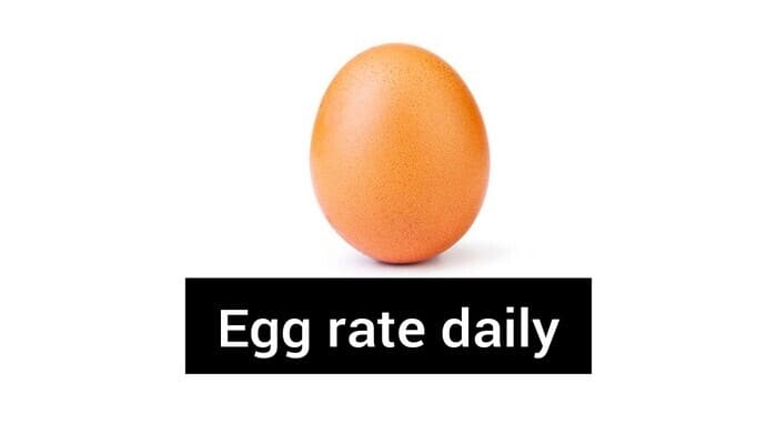 necc egg rate today